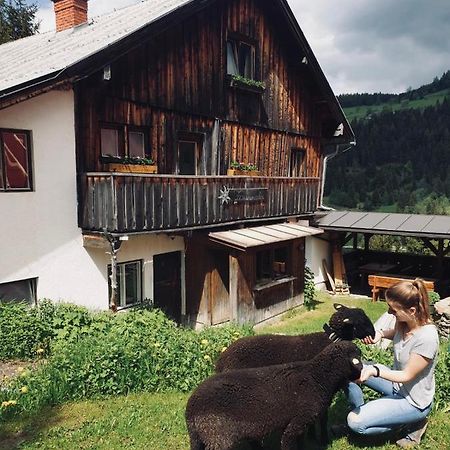 Zauneralm Aich  Exteriér fotografie