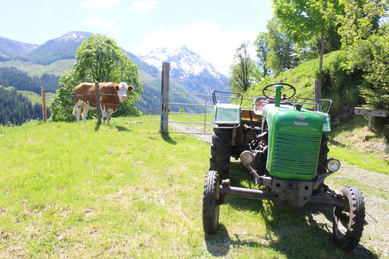 Zauneralm Aich  Exteriér fotografie