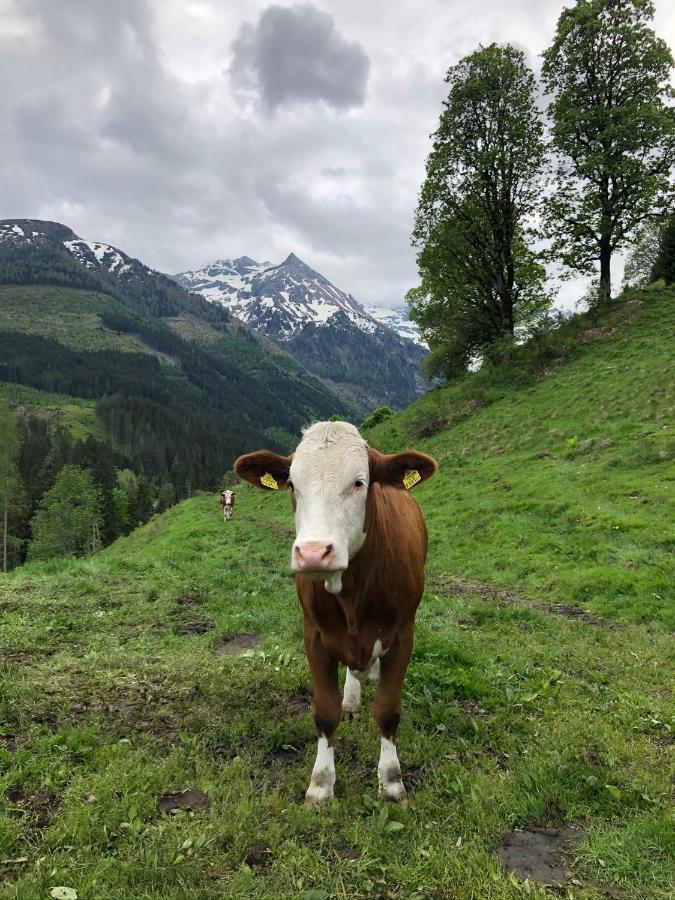 Zauneralm Aich  Exteriér fotografie